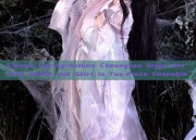 Classic Spring-Autumn Cheongsam Qipao Set with Jacket and Skirt in Two-Piece Ensemble