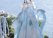 The Journey of a Hanfu Princess Doll