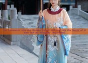 The Encounter with the Dragon King:A Journey into the World of Hanfu and its Dragonic Inspiration