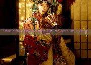 Autumn Winter Fashion:Traditional Hanfu Top paired with Maomin Qun Skirt