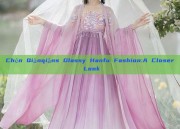 Chén Qiānqiāns Glassy Hanfu Fashion:A Closer Look
