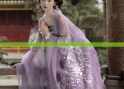 The Charm of Horseface Skirt and Bootlets:A Closer Look into Traditional Chinese Fashion