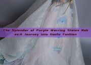 The Splendor of Purple Warring States Robes:A Journey into Hanfu Fashion