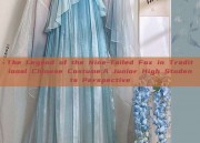 The Legend of the Nine-Tailed Fox in Traditional Chinese Costume:A Junior High Students Perspective