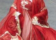 Embroidery on Horseface Skirt and Blouse:A Traditional Art of Splendor