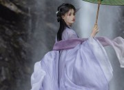 The Rise of Hanfu Tang-Style Wigs:A Journey into Traditional Chinese Beauty