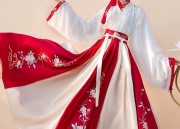 Spring is Never Late for Traditional Chinese Fashion:The Revival of Hanfu