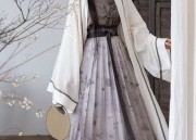 The Elegance of Broad-sleeved Hanfu Tops