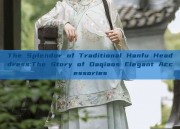 The Splendor of Traditional Hanfu Headdress:The Story of Daqiaos Elegant Accessories