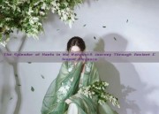 The Splendor of Hanfu in Ma Wangdui:A Journey Through Ancient Chinese Elegance