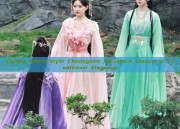 Chiffon Short-Style Cheongsam Blouses:A Glance at Traditional Elegance