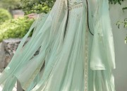 The Allure of Cheongsam Collars in a Gown of Elegance