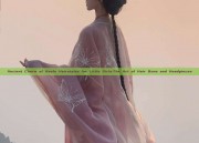 Ancient Charm of Hanfu Hairstyles for Little Girls:The Art of Hair Buns and Headpieces