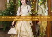 The Splendor of Ming-Style Hanfu:The Golden-Woven Upper Jacket