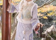 The Allure of Lu Lingfengs Hanfu Fashion:A Closer Look into Traditional Chinese Attire