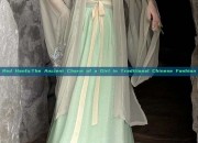 Red Hanfu:The Ancient Charm of a Girl in Traditional Chinese Fashion