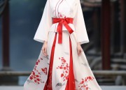 The Imperial Consort in Qing Dynasty:The Splendor of Hanfu Fashion