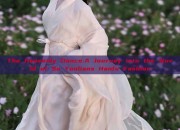 The Heavenly Dance:A Journey into the World of Su Youlians Hanfu Fashion