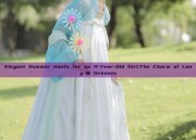 Elegant Summer Hanfu for an 11-Year-Old Girl:The Charm of Long-袖 Dresses