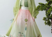 Luxurious Xiangyun Silk Horseface Skirt Ensemble An Elegant Fashion Statement