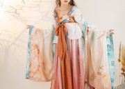 Transparent Cheongsam:A Full Exploration of its Fashion Potential and Cultural Significance