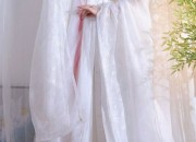 The Elegance of Hanfu:Womens Qiyao Ruqun with Crossed Collars