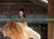 Vintage Chinese Cheongsam:Embracing the Old Shanghai Charm