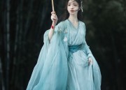 Adult Womens Hanfu Performance Costumes:Unveiling the Splendor of Traditional Chinese Elegance