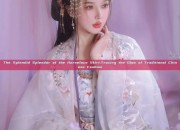 The Splendid Splendor of the Horseface Skirt:Tracing the Glow of Traditional Chinese Fashion