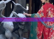 The Elegance and Grace of Cheongsam Embodying Traditional Chinese Charm