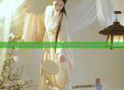 Embracing the Modern Elegance of Womens Qipao:The Chic Revolution
