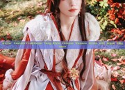 Winter Fashion:Traditional Tang-Style Chinese Womens Dress with Qipao Elegance