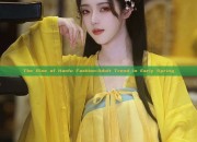 The Rise of Hanfu Fashion:Adult Trend in Early Spring