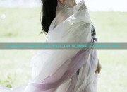 Traditional Chinese Style White Top to Match a Horseface Skirt