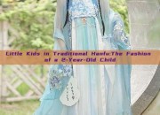 Little Kids in Traditional Hanfu:The Fashion of a 2-Year-Old Child