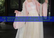 The Splendid Splendor of Double Dragon Tang Suit:A Blend of Tradition and Elegance