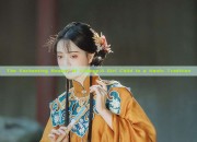 The Enchanting Beauty of Change:A Girl Child in a Hanfu Tradition