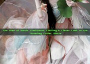 The Rise of Hanfu Traditional Clothing:A Closer Look at the Standing Collar Shirts
