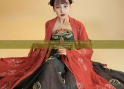 Winter Style of Horseface Skirt Overcoat:A Blend of Tradition and Modernity