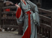 Elegant Womens Traditional Chinese-Style Tang Suit with Long-Length Premium Blouse