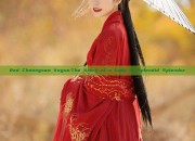 Red Cheongsam Vogue:The Story of a Lady in Splendid Splendor