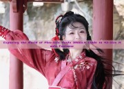 Exploring the World of Plus-Size Hanfu Shoes:A Guide to 43-Size Hanfu Footwear