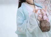 Spring-Autumn Fashion:The New Qipao Skirt Exudes a Refined and Elegant Charm