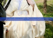 Golden Silk Plush Cheongsam Collar Suit:A Blend of Tradition and Elegance