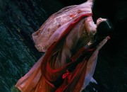 The Zodiac in the Realm of Cheongsam:Unveiling the Star Signs through a Cultural Lens