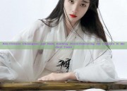Neo-Chinese Cheongsam and Oude Guofeng Dress:Embracing the Classics in Modern Times