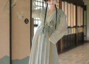 The Enchanting Red Dragonfly Cheongsam:A Symbol of Traditional Elegance