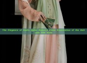 The Elegance of Hanfu Outer Robes:A Close Examination of the Delicate Silk Veils