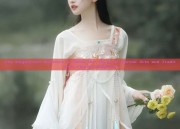 The Magnificent Warriors in Hanfu:The Allure of Martial Arts and Traditional Chinese Elegance