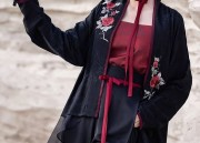 Hanfu Gongbi Paintings:A Collection of Artistic Resources